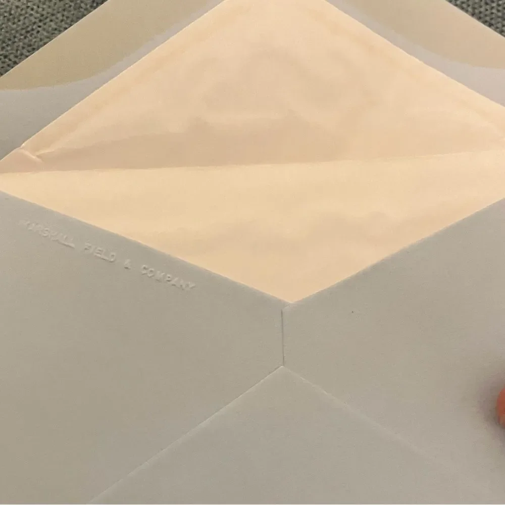 10 Blue Envelopes